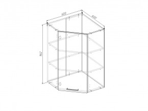 ВУП960 Модуль верхний Угловой МВУ9 в Бакале - bakal.magazinmebel.ru | фото
